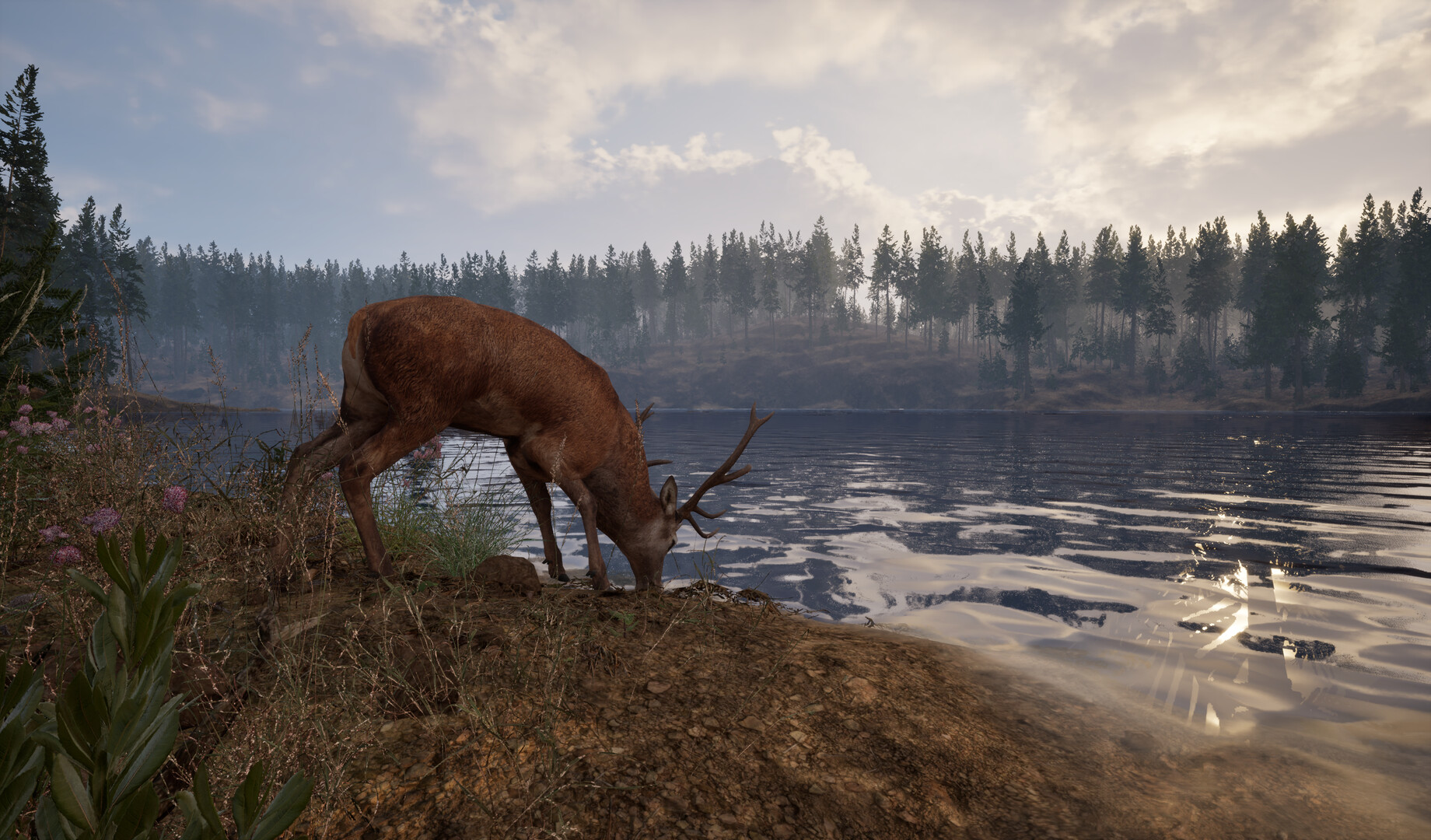 Online: 404 official gameplay screenshot 5